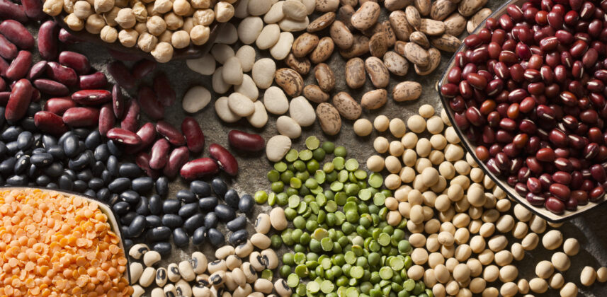Fibre – the weight loss secret weapon